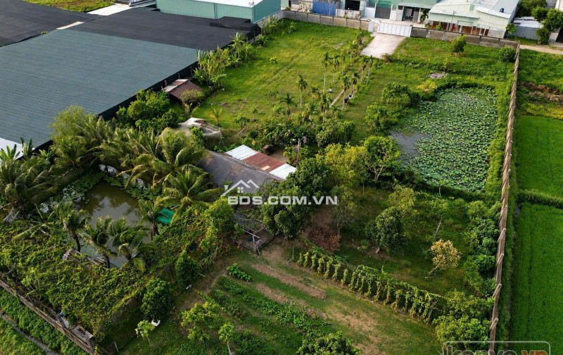 ĐẤT LỚN MẶT TIỀN XUÂN THỚI SƠN – GẦN 6400M² – NGANG 65M CÓ THỔ CƯ